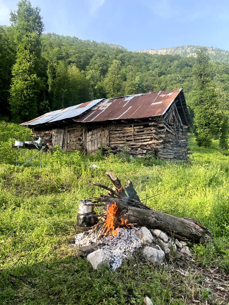 کلبه جنگلی مرواریدنایاب